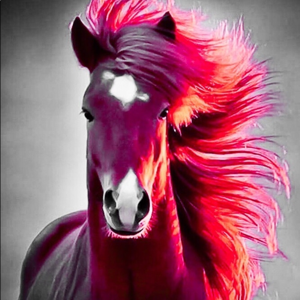 Meet your Posher, Shirdella